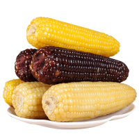 望乡村（KEEP W-VILLAGE GO）东北玉米 甜糯香玉米 真空独立包装新鲜健康早餐粗粮苞米棒 4支（2黑+2黄）