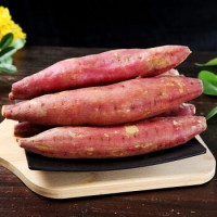 遇见悯农红薯广东现挖新鲜红心黄心 沙地蜜薯农产品 生鲜 沙地蜜薯 净重4.5-5斤